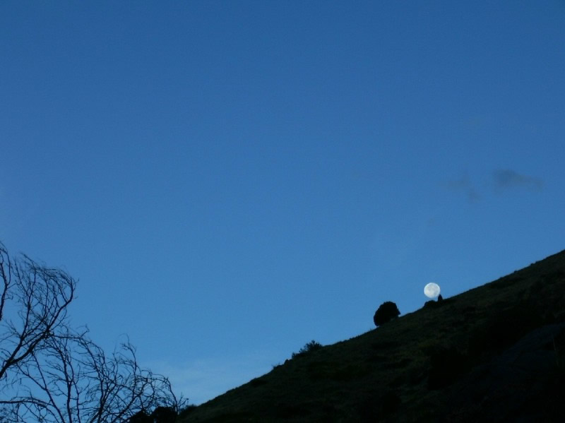 Moon setting over the Apex Trail Moon setting over the Apex Trail