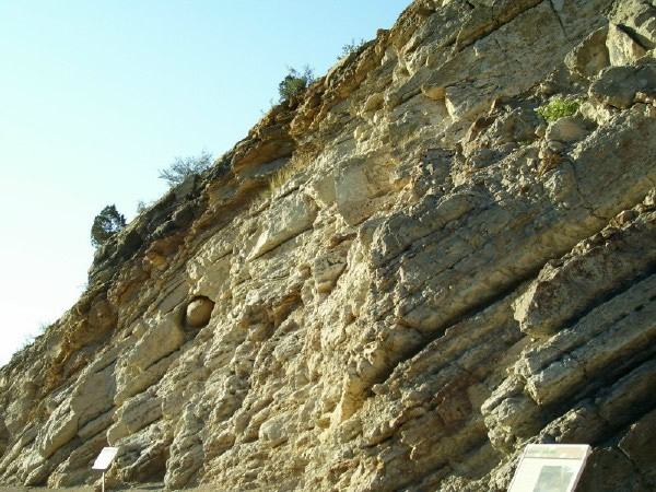 Concretion in Dakota Sandstone on Dinosaur Ridge
