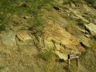 Dakota Sandstone on Dinosaur Ridge