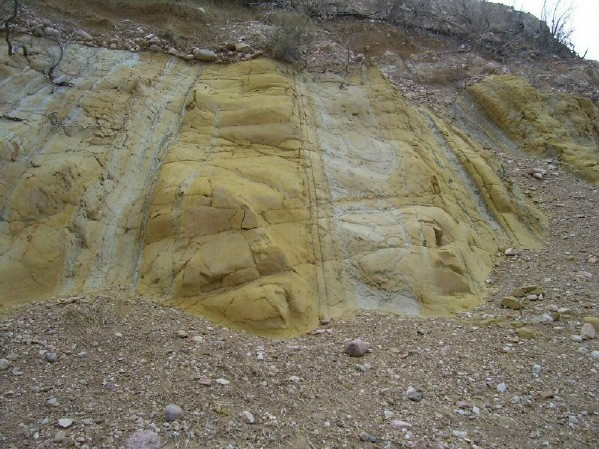 Fox Hills Formation