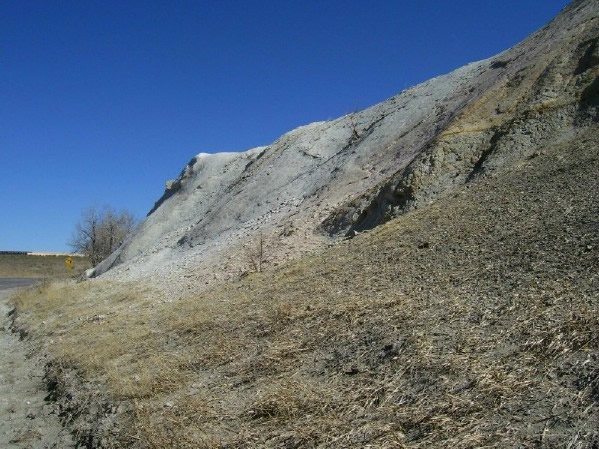Laramie Formation sandstone