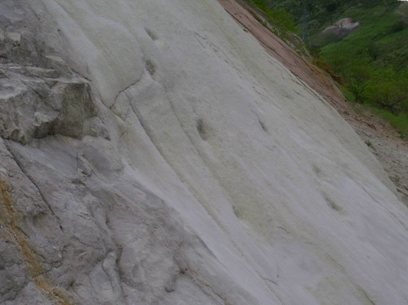 Laramie Formation sandstone