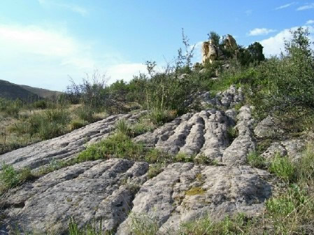Lykins Formation limestone at Matthews-Winters Park