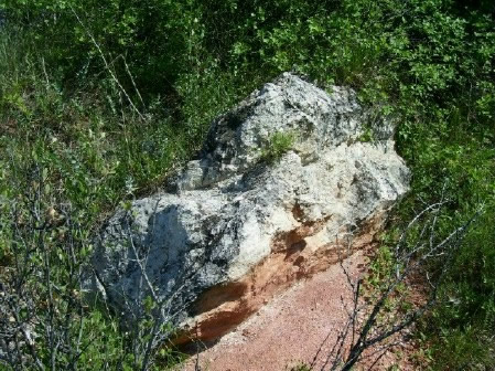 Limestone and mudstone at Matthews-Winters Park