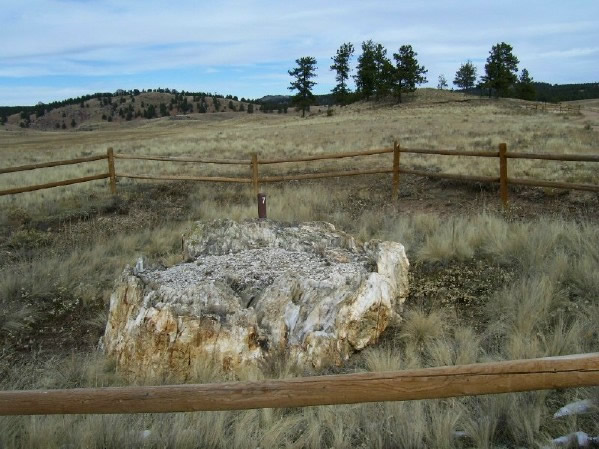 Guffey volcano lahar - petrified redwood tree stump