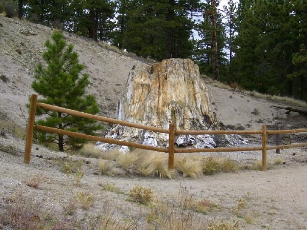 Guffey volcano lahar - petrified redwood tree stump