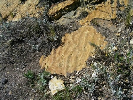 Ripple marks in ancient beach sand preserved in Dakota Sandstone