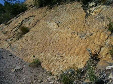 Ripple marks in ancient beach sand preserved in Dakota Sandstone Ripple marks in ancient beach sand preserved in Dakota Sandstone