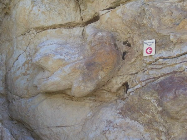 Triceratops track at Fossil Trace Golf Course